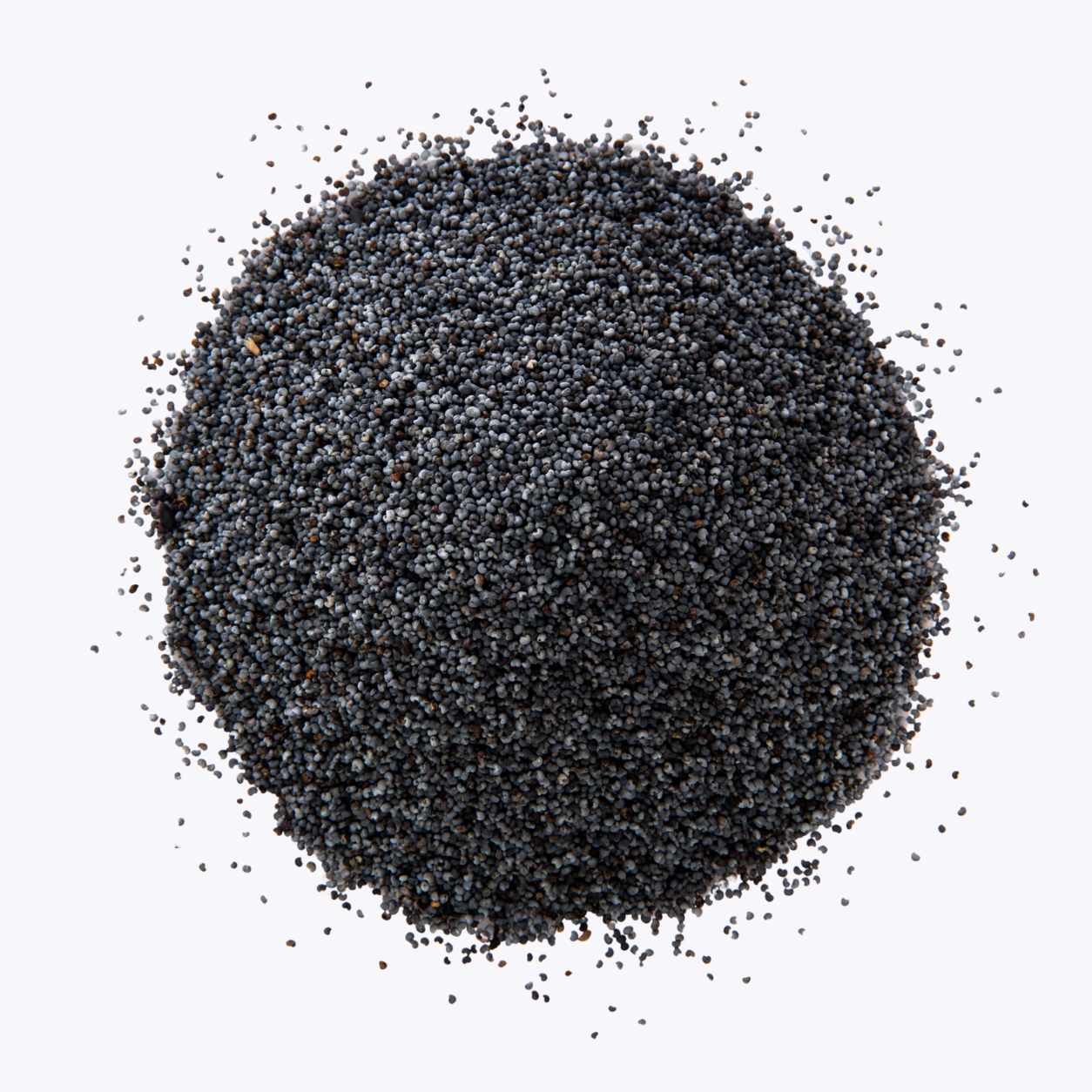 Basil Seeds