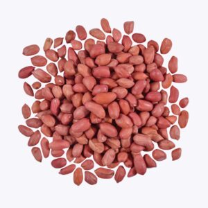 Groundnut Seeds