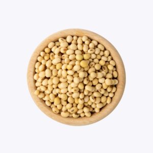 Soybean Seeds