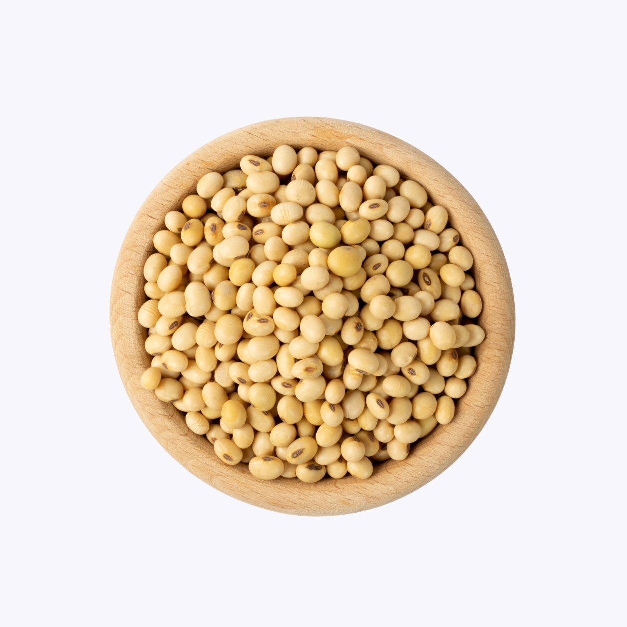 Soybean Seeds